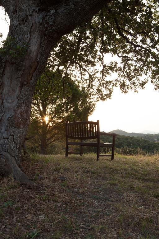 סוברטו Agriturismo Boschi Di Montecalvi מראה חיצוני תמונה