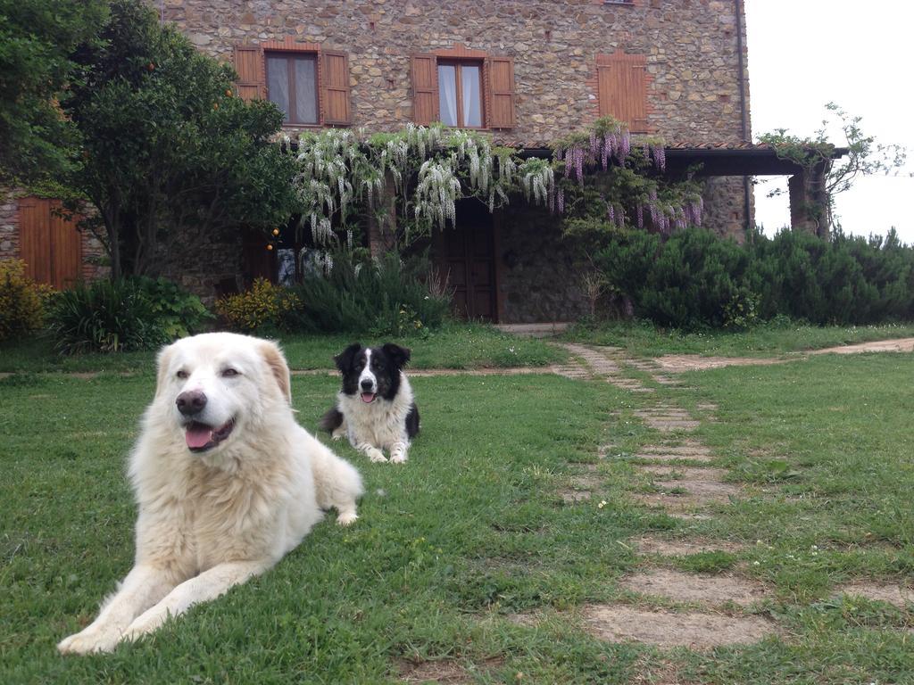 סוברטו Agriturismo Boschi Di Montecalvi מראה חיצוני תמונה