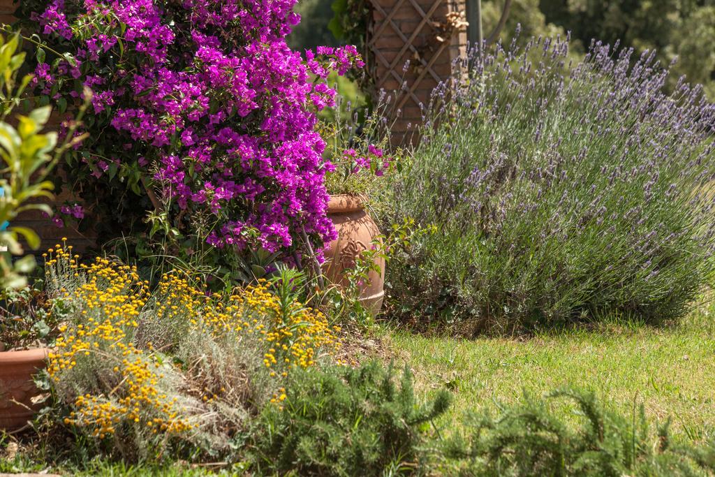 סוברטו Agriturismo Boschi Di Montecalvi מראה חיצוני תמונה